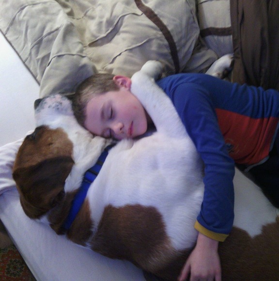 Meet your Posher, Dennis - Picture 1 of 1